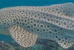 8e72e239-595c-4b85-bae7-e7a3ed5b8ba2