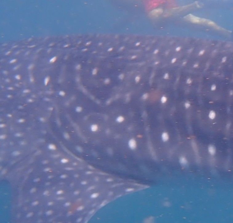 3df712c2-5620-4c4d-ae8c-051ecd3f8d49