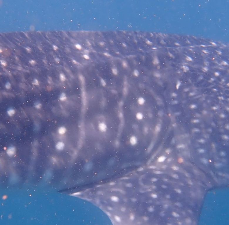 3df712c2-5620-4c4d-ae8c-051ecd3f8d49