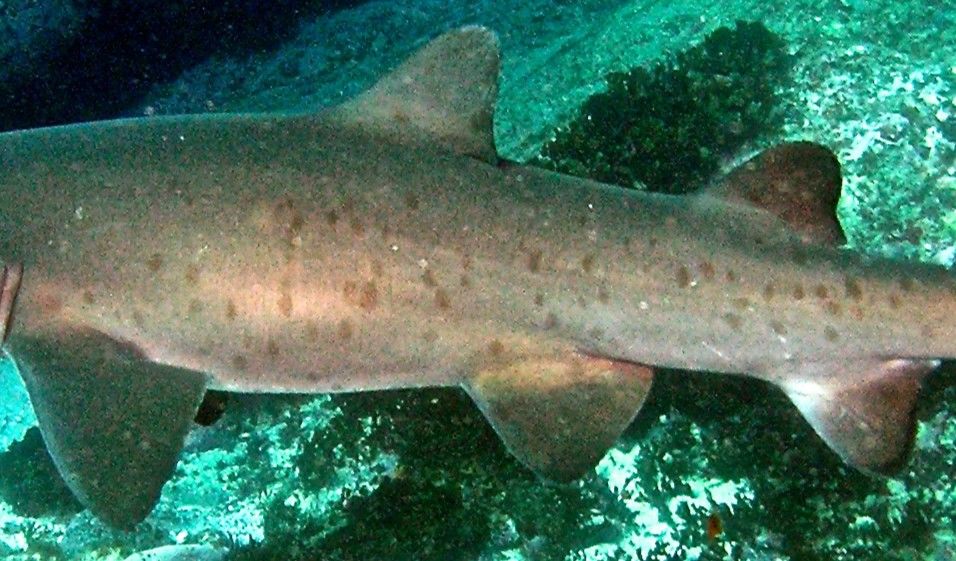 30f8ed27-ce3f-44ea-b249-160f3808e63c