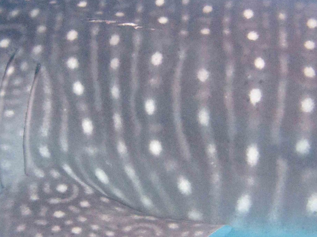 baa83b36-c5ee-4ed4-965b-c60433d29ef5