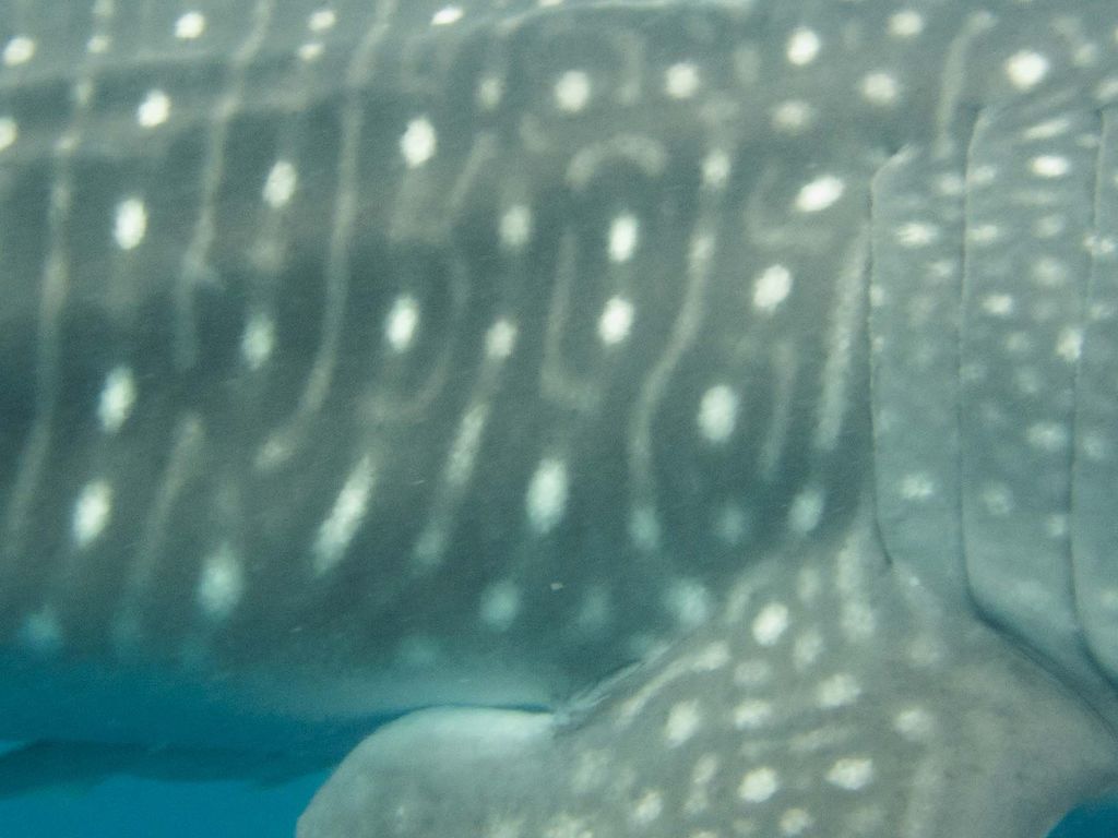 baa83b36-c5ee-4ed4-965b-c60433d29ef5