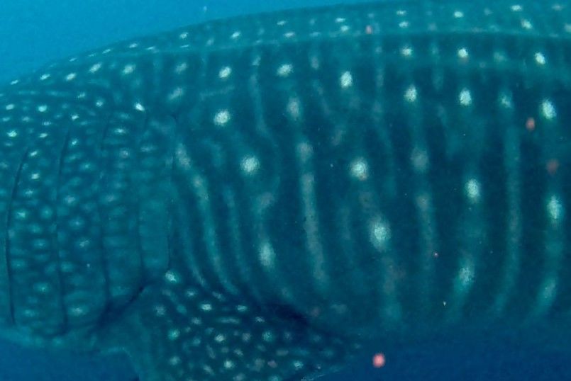 7e212cae-37e4-43be-9957-8528f90846d1