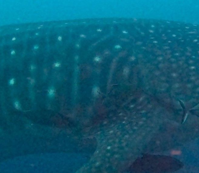 7e212cae-37e4-43be-9957-8528f90846d1