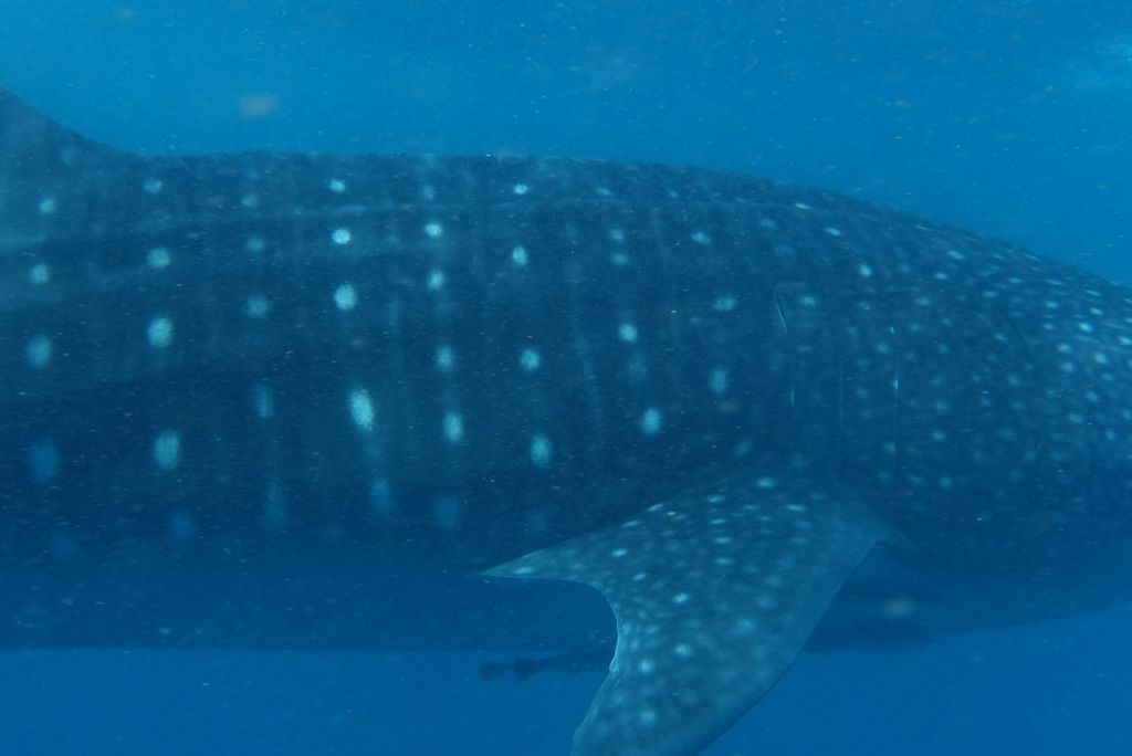 25db5ce0-6c5e-4140-9d17-95afaf256b42