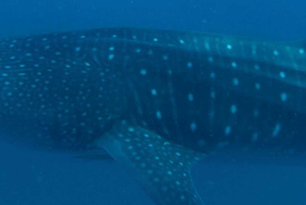 25db5ce0-6c5e-4140-9d17-95afaf256b42