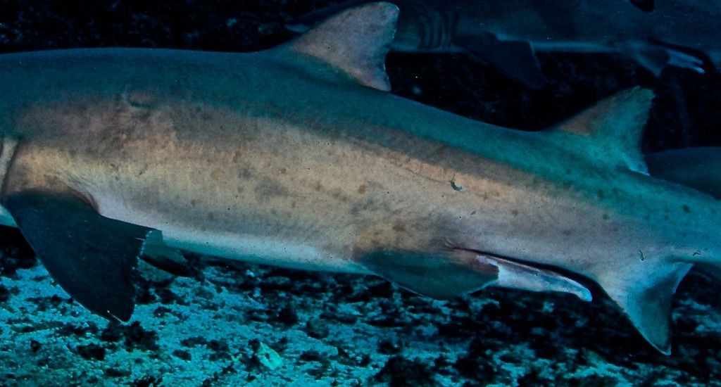 ab070288-d14e-4128-9112-c53229c636b0