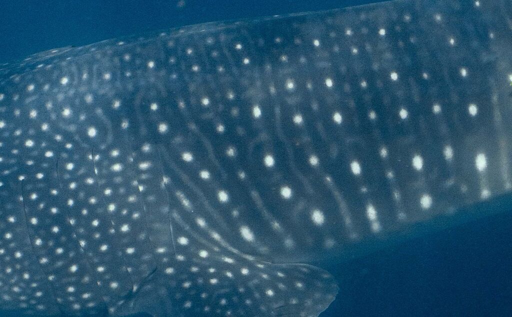 466bda85-1b92-49c5-9fdc-3e5d1f10ed4c