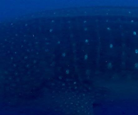 ae7efdc1-8d17-4188-80f7-2a51b2bfba6e