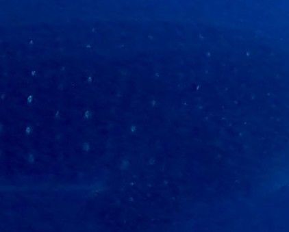 ae7efdc1-8d17-4188-80f7-2a51b2bfba6e