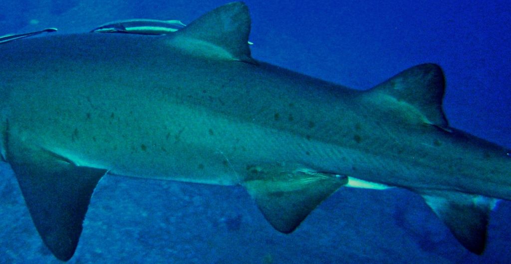 0d7054ca-da25-4e48-af64-6d871bea4493