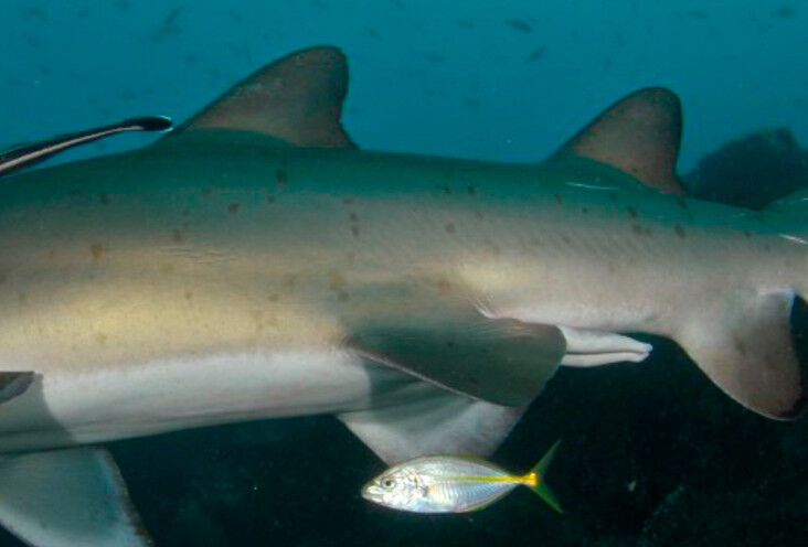 903b68f3-b428-4c0a-8773-0a59df091f61