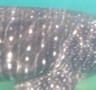 7986c0da-524d-49f9-88a1-5941db1bf740