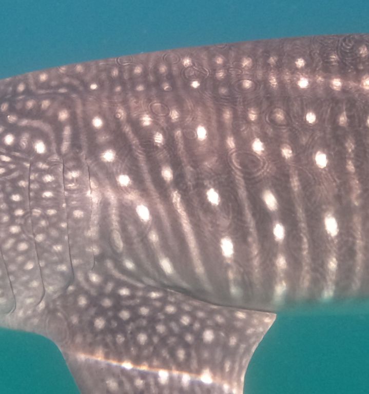 7986c0da-524d-49f9-88a1-5941db1bf740