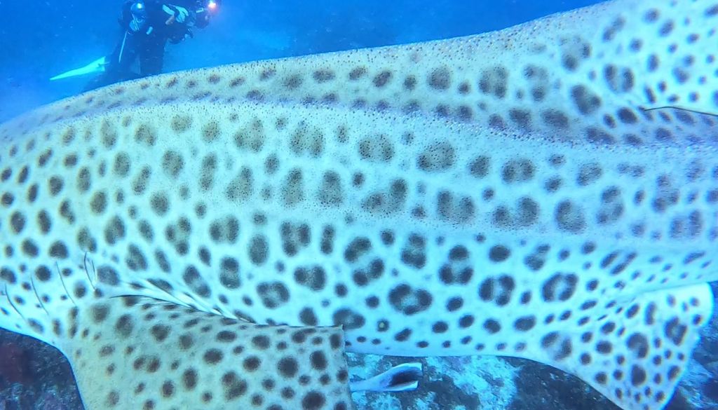 00c40953-f563-451c-8399-b78803129414