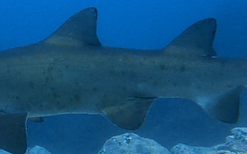 37b99cd5-feae-4bba-844b-584765ff8285