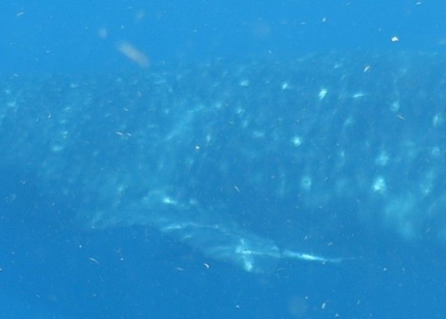 83f12851-5e22-45d5-a8fc-b6e3afc9686f