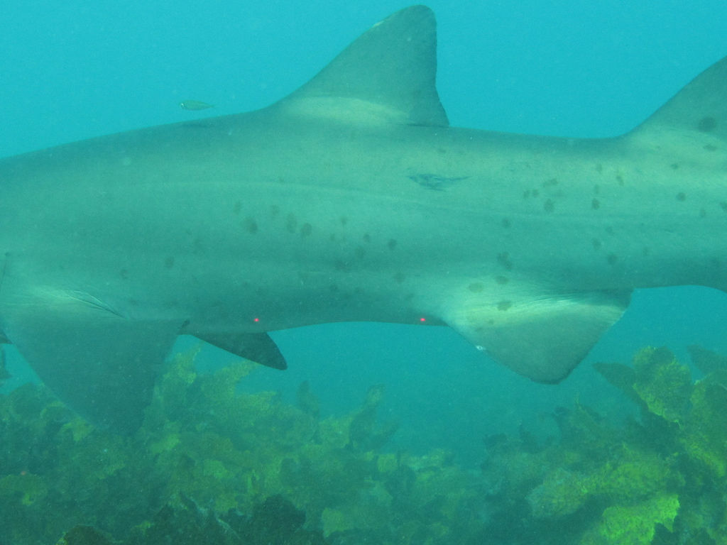 d19fbfc3-ba4e-45f3-b0a7-52411d57cfc6