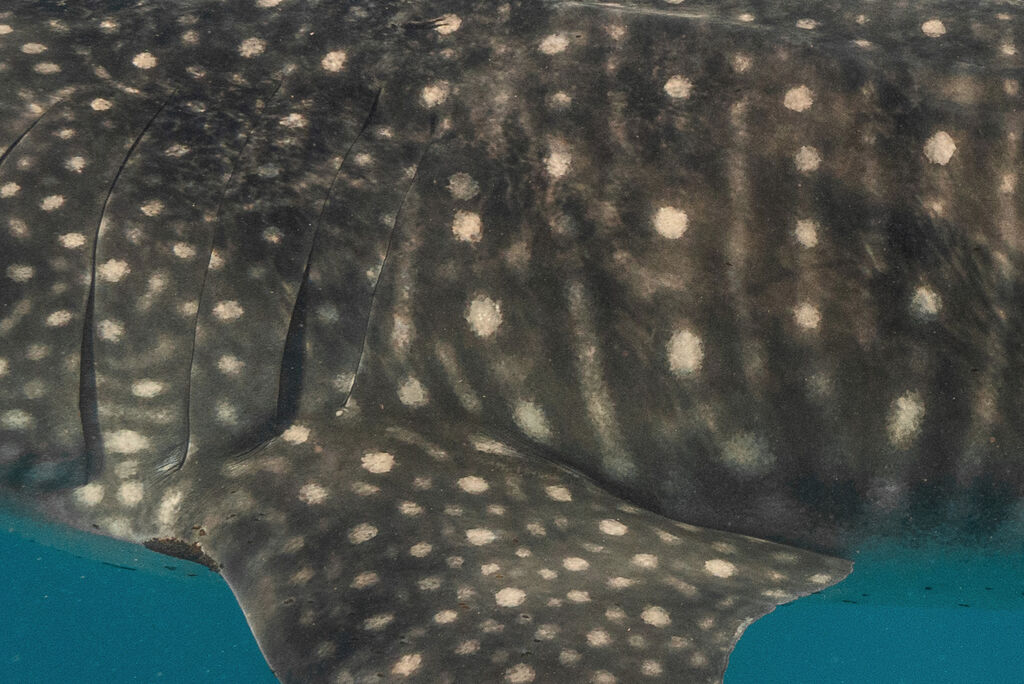 6fce954c-e4c1-4248-8fb8-2301ac84da05