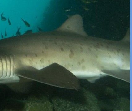 a9f6bc90-33c7-44bc-9005-c92f279dce67