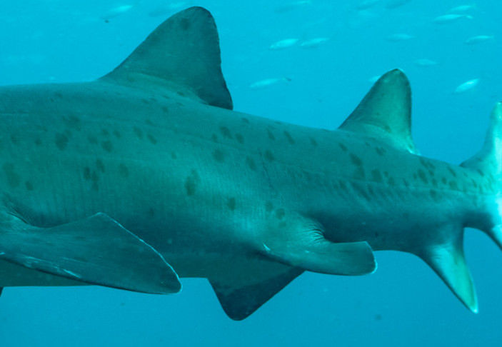 02e52749-6011-4561-b3a4-cb8f7545b1c6