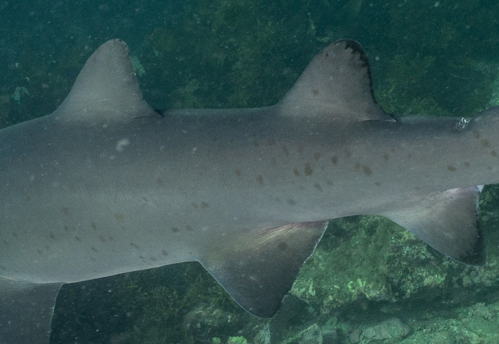 19a7750c-7bfc-4068-b662-1e428cfacfc0