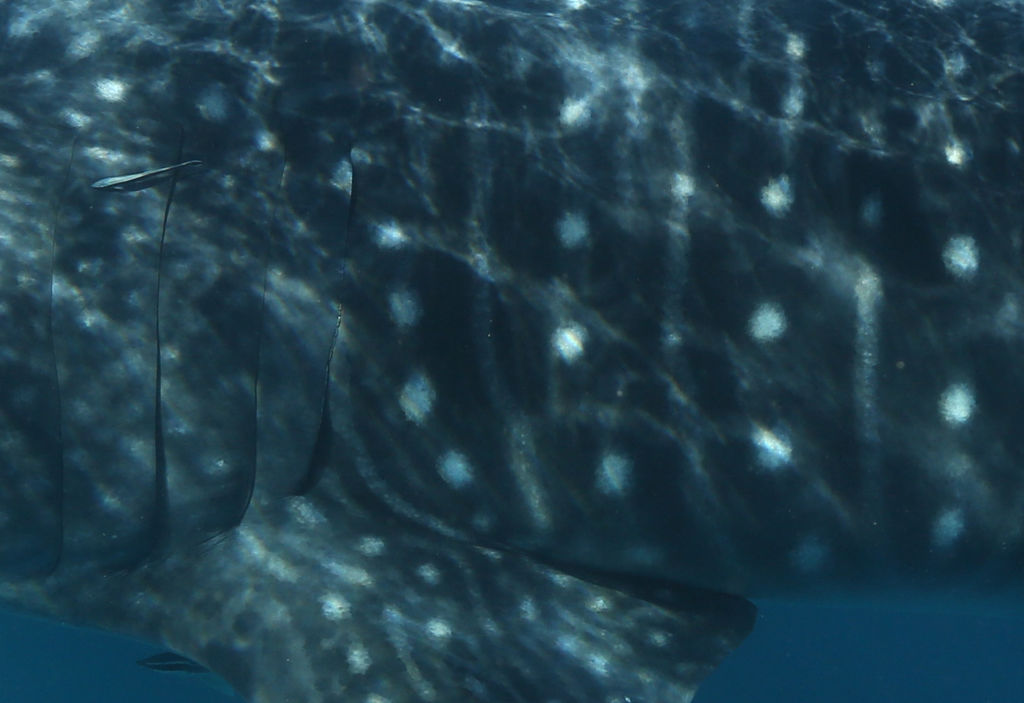 13f4e9f4-4763-4869-8ec7-fc10c8e691f2