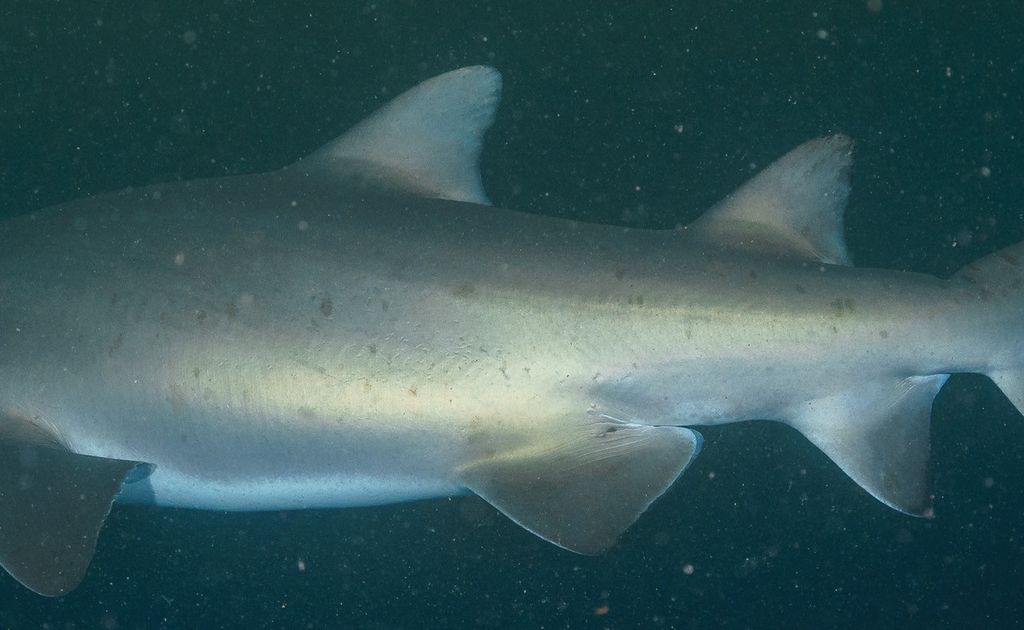 6b173300-0566-4dcd-9607-578a976ad350