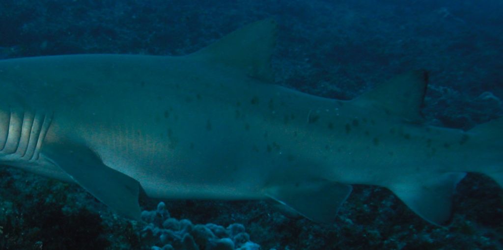 632c4302-d2e7-4e9d-ab43-0ce2f460056f