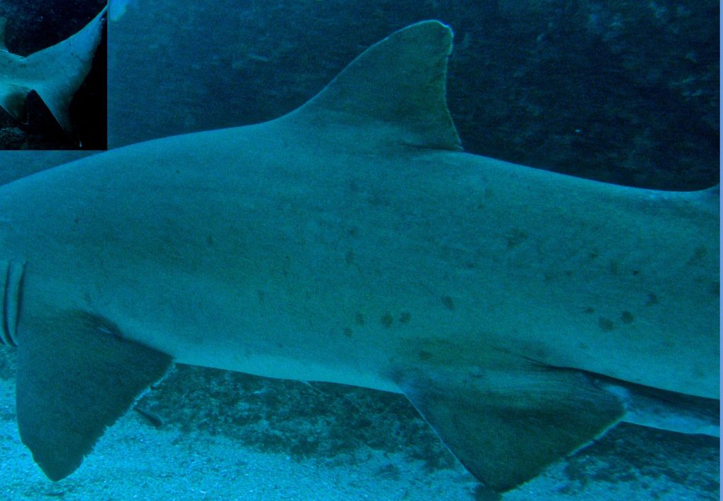 8a4dd11f-b387-4bd4-a3a7-b6907785a61a