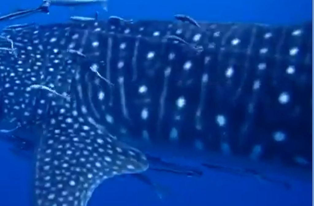 86d31b2a-2e39-40f9-ab6f-100d1a143afe