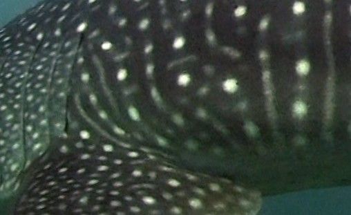 02708104-051d-4674-90c2-c9090ddc1690