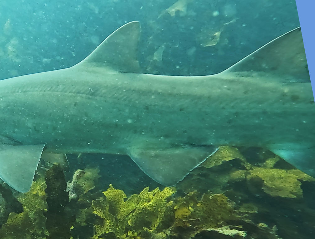 1786f04e-901b-4dcb-90a0-fba782d5de38