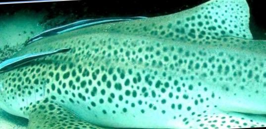 437a3d98-91d3-4877-a93e-d18bee8b4d38