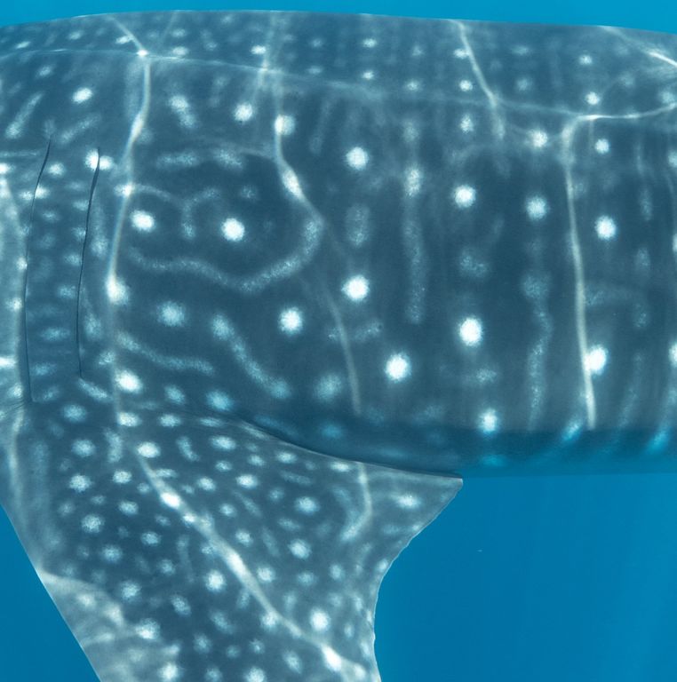 63625622-40d2-43b5-8d9a-e6fd85c45c17