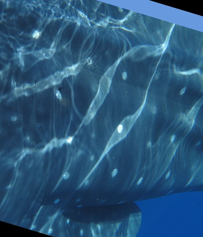 1d1dc7f4-294d-4e96-abe9-c73fb23c3ec3