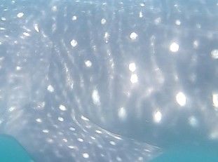 01efe16d-3ff1-4509-b5e1-a9d9cfbb977a