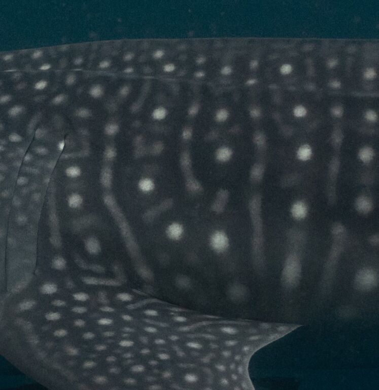 9fbc21bd-c4da-468d-a084-7fbb1e16931e