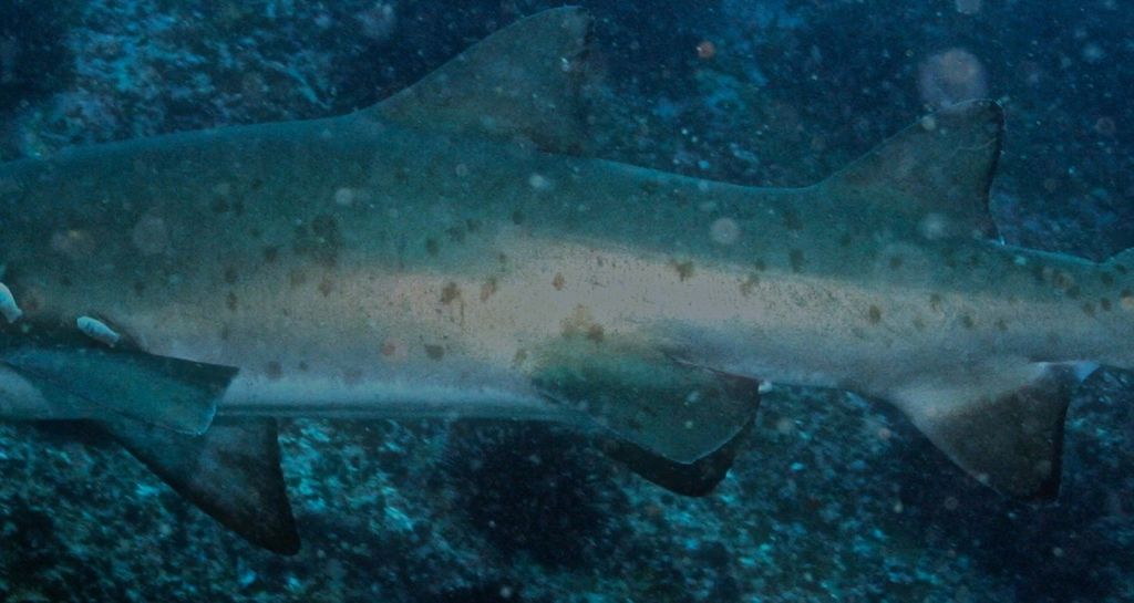 c2d37804-7af2-4031-a42a-a73bdf202109