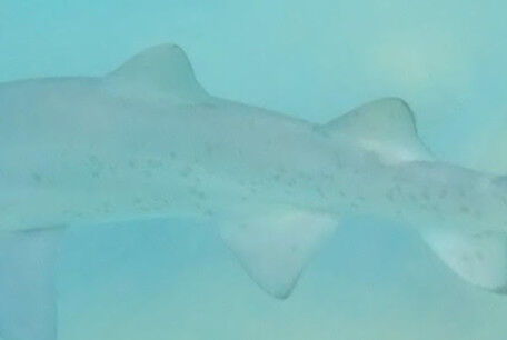 4b80d5c9-8c32-4aae-a0a9-fbc3b292891e