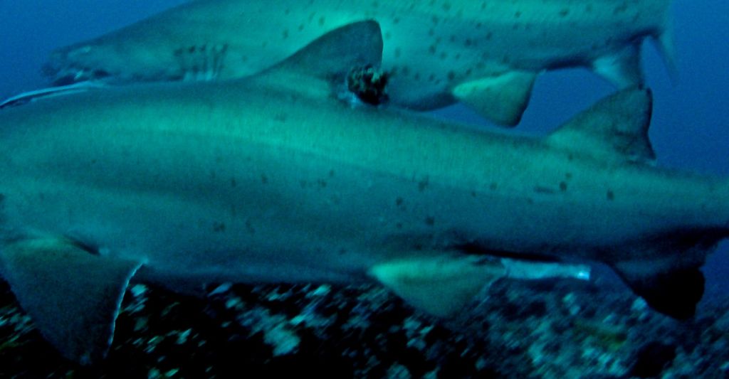 0ddf21d7-f482-4759-8b02-1f8d84f63f75