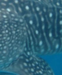 3db75059-2702-4516-9264-f766d22b8a6f