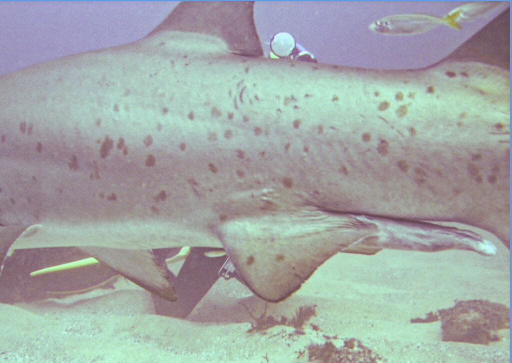 fd292b20-8a80-40cc-8cd0-96dec4fa5e94