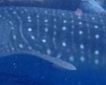 d73e3d41-456c-4bc1-a103-8c0381cf889e