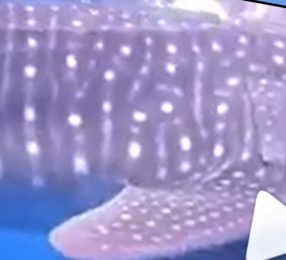 d73e3d41-456c-4bc1-a103-8c0381cf889e