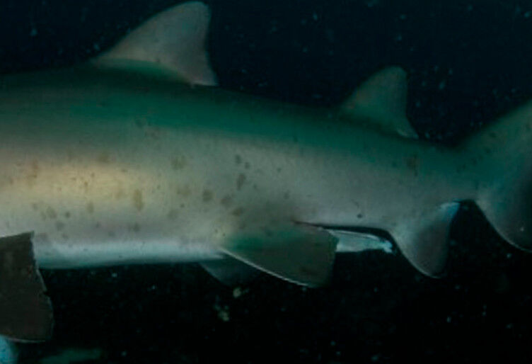 b1438dbd-4354-4f12-a8a5-a5556384425f