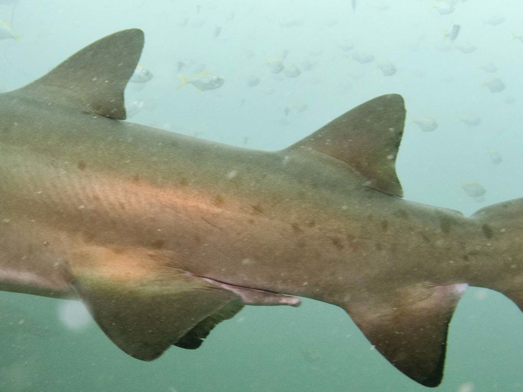 fcc56258-1506-4286-87a4-b334ea7b384f