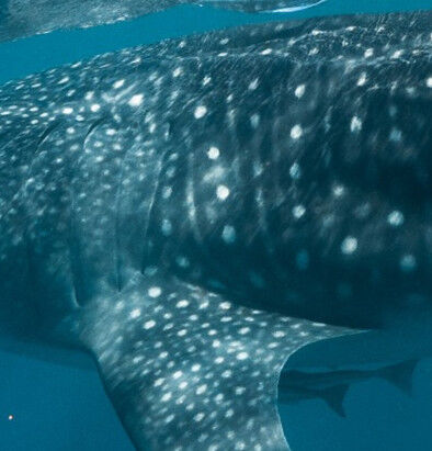 a23ab8d1-c280-4a5e-9120-3e067595799b