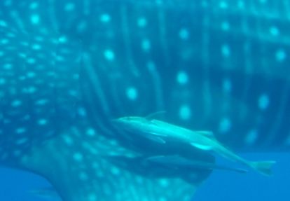 b5942c7b-089a-4f3d-8bbe-01cdc52a83b5