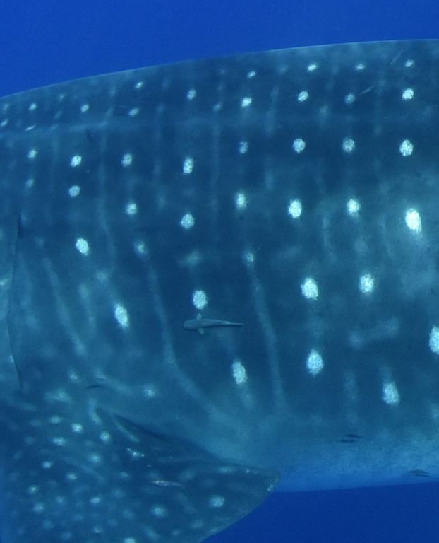 e353bbda-8896-4d4d-93ce-13ff85a590f3